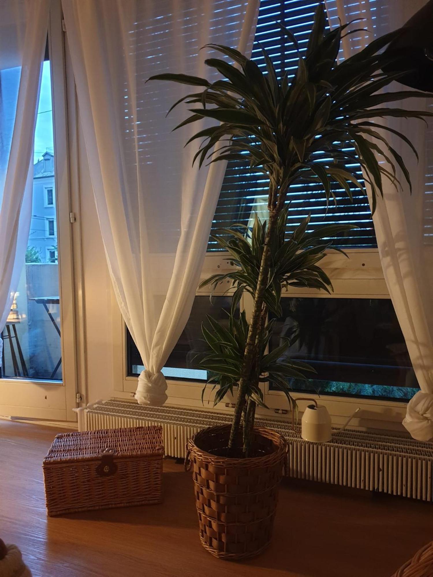 El Destino Apartments Цюрих Екстер'єр фото